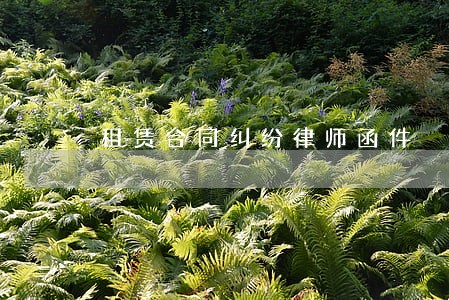 租赁合同纠纷律师函件