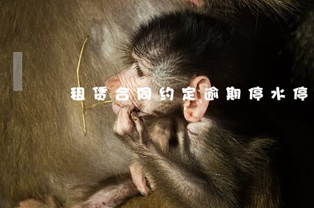 租赁合同约定逾期停水停电 租赁合同约定逾期停水停电