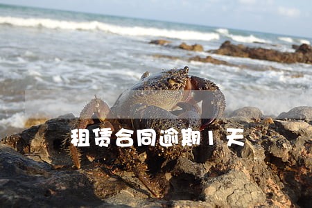 租赁合同逾期1天 租赁合同逾期1天