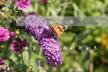租赁合同逾期付款利息 租赁合同逾期付款利息