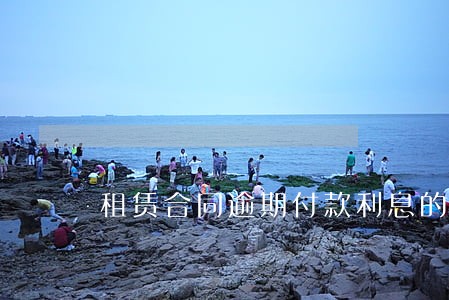 租赁合同逾期付款利息的法律依据 租赁合同逾期付款利息的法律依据