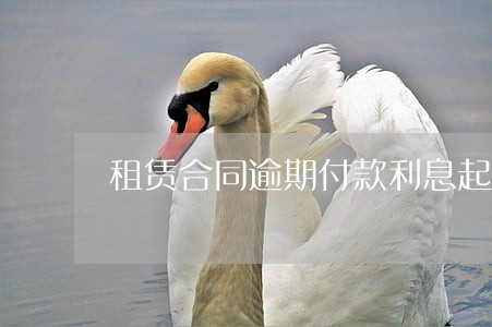 租赁合同逾期付款利息起算时间 租赁合同逾期付款利息起算时间