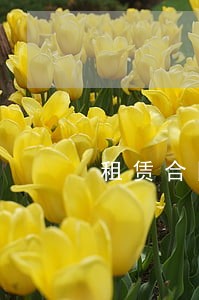 租赁合同逾期付款利率最高 租赁合同逾期付款利率最高