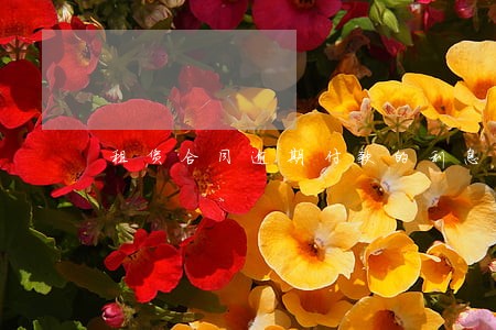 租赁合同逾期付款的利息 租赁合同逾期付款的利息