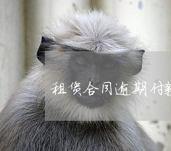 租赁合同逾期付款解除权 租赁合同逾期付款解除权