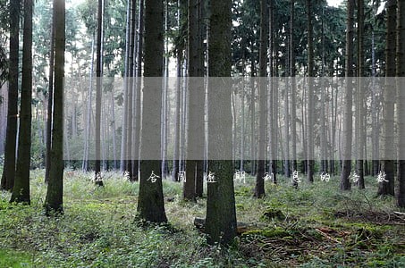 租赁合同逾期利息的倍数 租赁合同逾期利息的倍数