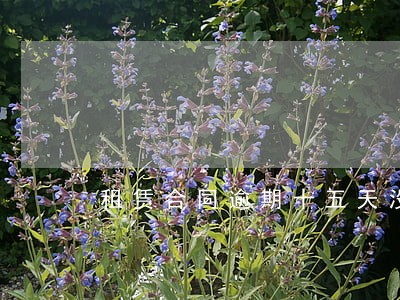 租赁合同逾期十五天没交费 租赁合同逾期十五天没交费