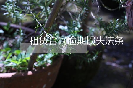 租赁合同逾期损失法条 租赁合同逾期损失法条
