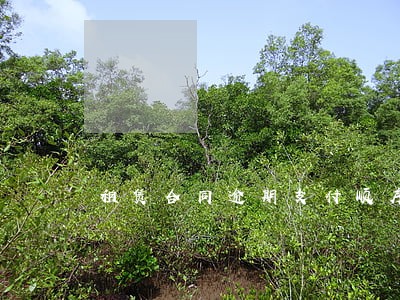 租赁合同逾期支付顺序 租赁合同逾期支付顺序