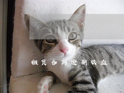 租赁合同逾期收益 租赁合同逾期收益