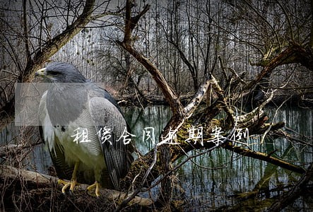 租赁合同逾期案例 租赁合同逾期案例