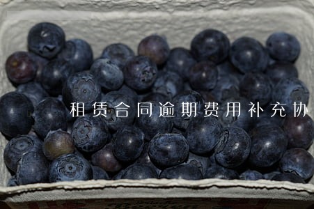 租赁合同逾期费用补充协议 租赁合同逾期费用补充协议
