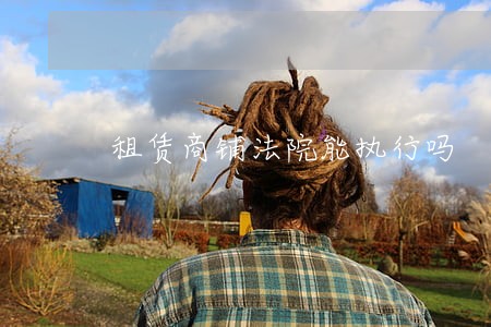 租赁商铺法院能执行吗
