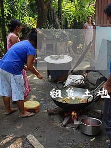 租赁土地法律意见书