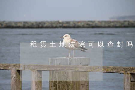 租赁土地法院可以查封吗 租赁土地法院可以查封吗