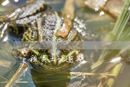 租赁土地逾期 租赁土地逾期