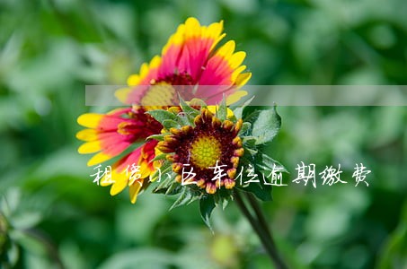 租赁小区车位逾期缴费 租赁小区车位逾期缴费