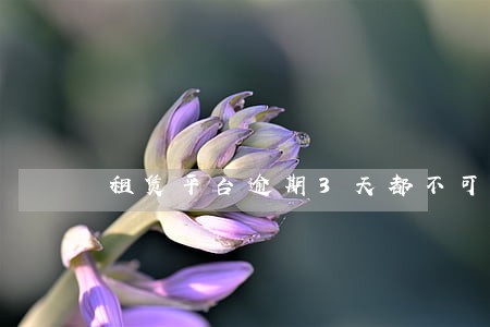 租赁平台逾期3天都不可以吗 租赁平台逾期3天都不可以吗
