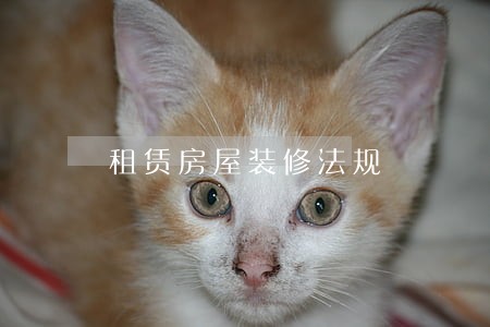 租赁房屋装修法规 租赁房屋装修法规