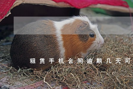 租赁手机合同逾期几天可以上征信 租赁手机合同逾期几天可以上征信