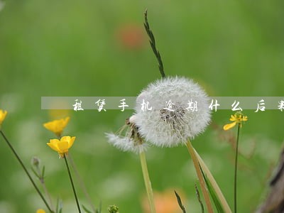 租赁手机逾期什么后果 租赁手机逾期什么后果
