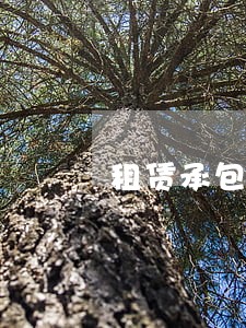 租赁承包法律意见书 租赁承包法律意见书
