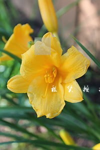 租赁按揭逾期 租赁按揭逾期
