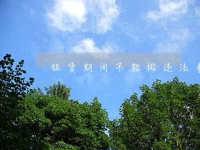 租赁期间不能做违法事情怎么写