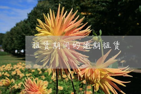 租赁期间的逾期租赁