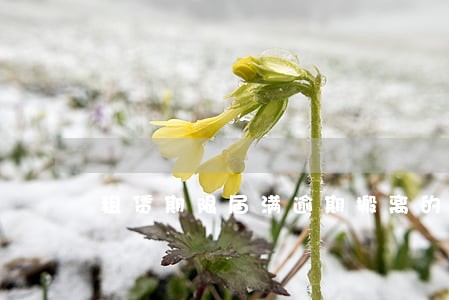 租赁期限届满逾期搬离的责任 租赁期限届满逾期搬离的责任