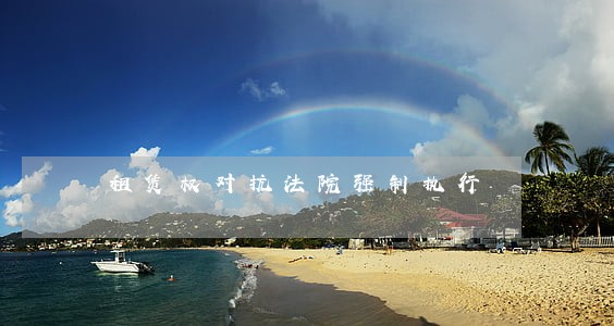 租赁权对抗法院强制执行 租赁权对抗法院强制执行