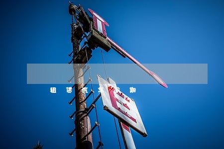 租赁汽车逾期 租赁汽车逾期