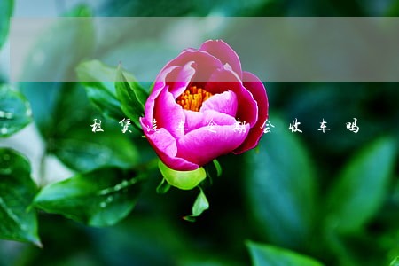 租赁汽车逾期会收车吗 租赁汽车逾期会收车吗