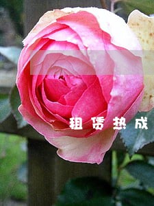 租赁热成像违法吗 租赁热成像违法吗