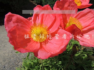 租赁站经营者诉讼地位