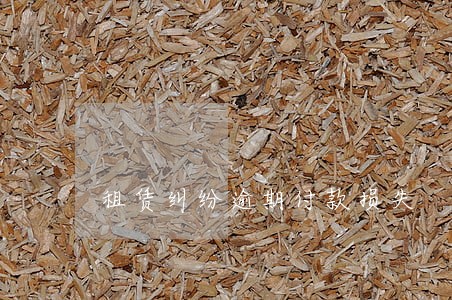 租赁纠纷逾期付款损失 租赁纠纷逾期付款损失