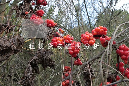 租赁货物逾期分析 租赁货物逾期分析