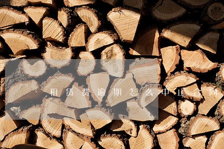 租赁费逾期怎么中止合同 租赁费逾期怎么中止合同