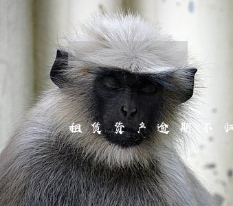 租赁资产逾期不归还 租赁资产逾期不归还