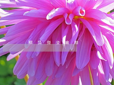 租赁资金逾期 租赁资金逾期