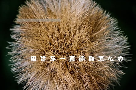 租赁车一直逾期怎么办 租赁车一直逾期怎么办