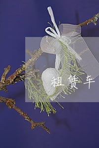 租赁车辆抵押逾期被转卖 租赁车辆抵押逾期被转卖