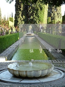租赁车辆违法损失谁负责