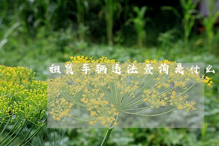租赁车辆违法查询是什么 租赁车辆违法查询是什么