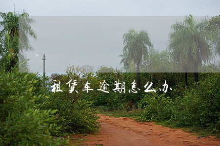 租赁车逾期怎么办 租赁车逾期怎么办