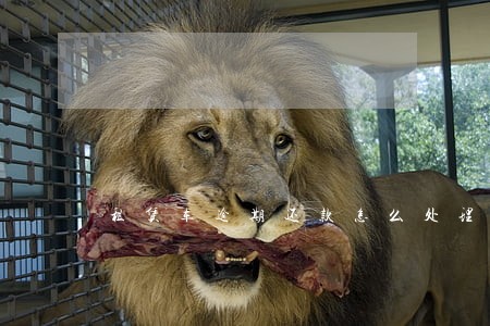 租赁车逾期还款怎么处理 租赁车逾期还款怎么处理