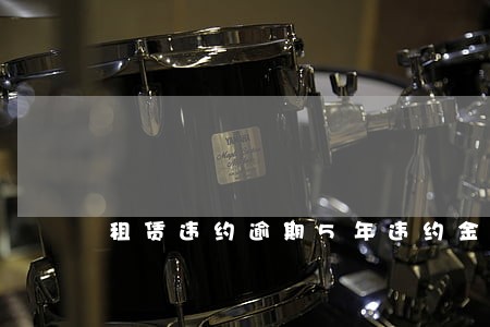 租赁违约逾期5年违约金怎么算