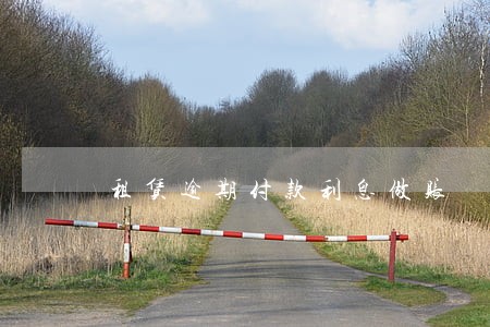 租赁逾期付款利息做账 租赁逾期付款利息做账