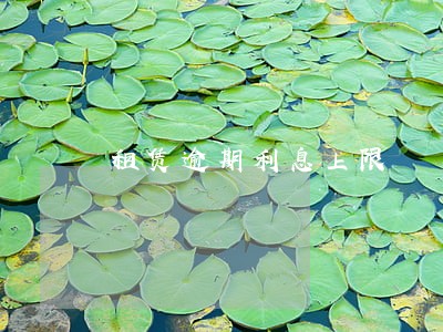 租赁逾期利息上限 租赁逾期利息上限