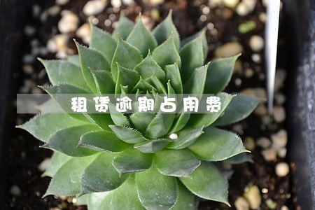 租赁逾期占用费 租赁逾期占用费